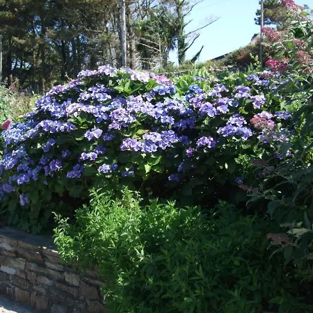 Reenmore Nocleg ze śniadaniem *