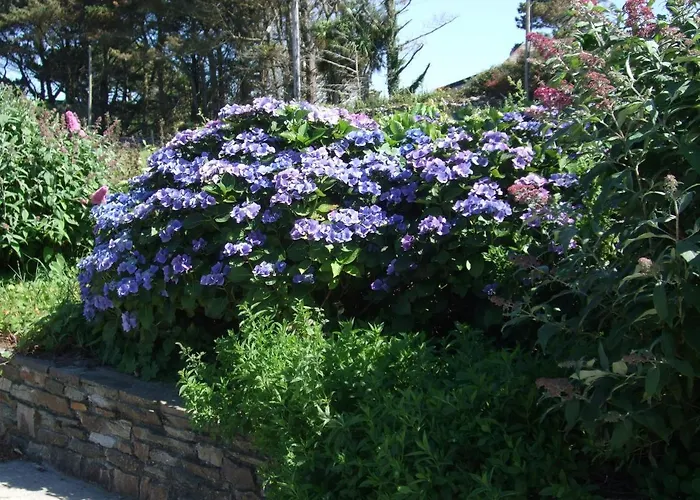 Reenmore Bed & Breakfast *